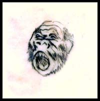 Study for head of ape
